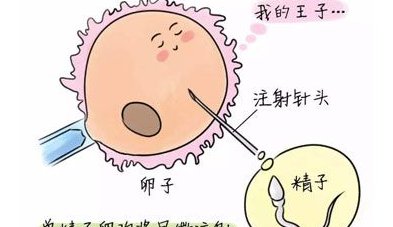 2026年无结婚证做试管要多少钱？南充大概要十二万左右