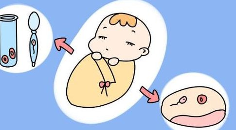 提高试管婴儿成功率怎样做？