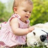 在保筛选第三代试管助孕需要多少钱？费用可以医保报销吗？