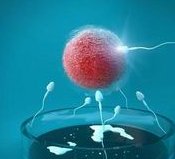 北医三院试管婴儿费用明细解析，了解避免影响精液质量的因素