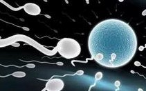 北京试管婴儿医院哪家好？如何提高试管婴儿成功率