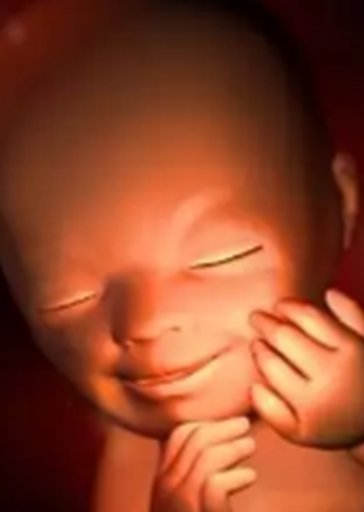 丽水助孕机构哪家口碑好？2026年丽水知名私立生殖医院大盘点